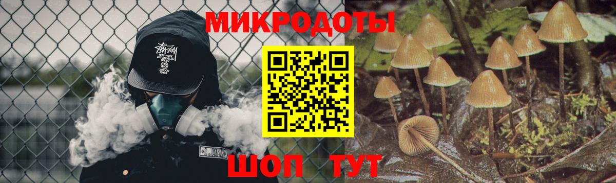 Галлюциногенные грибы Psilocybine cubensis Казань